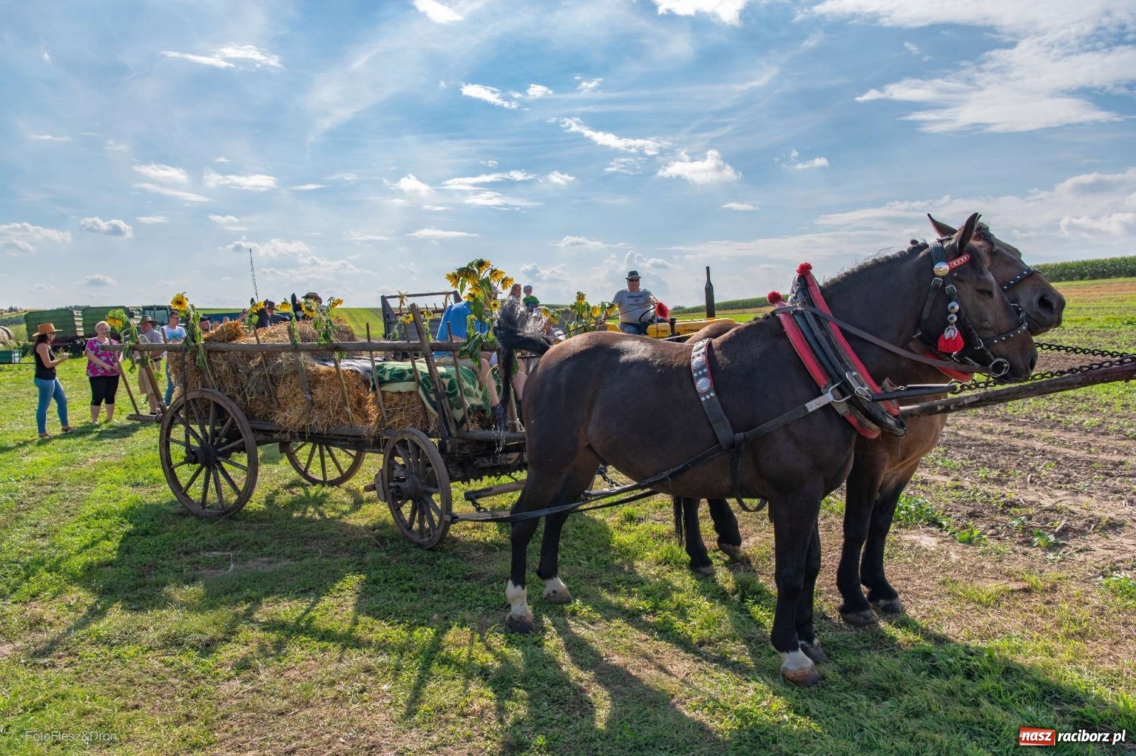 Zdjęcie w galerii na portalu naszraciborz.pl: Parada zabytkowych ciągników i maszyn rolniczych [FOTO i WIDEO] wiadomości z regionu