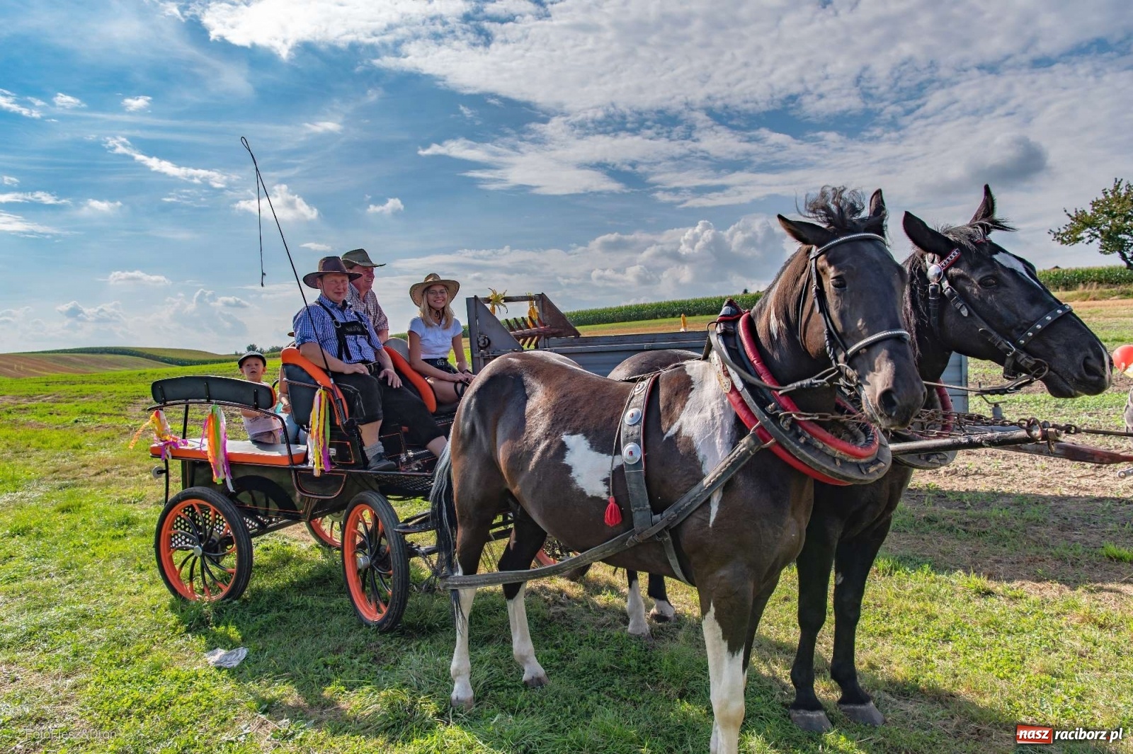 Zdjęcie w galerii na portalu naszraciborz.pl: Parada zabytkowych ciągników i maszyn rolniczych [FOTO i WIDEO] wiadomości z regionu