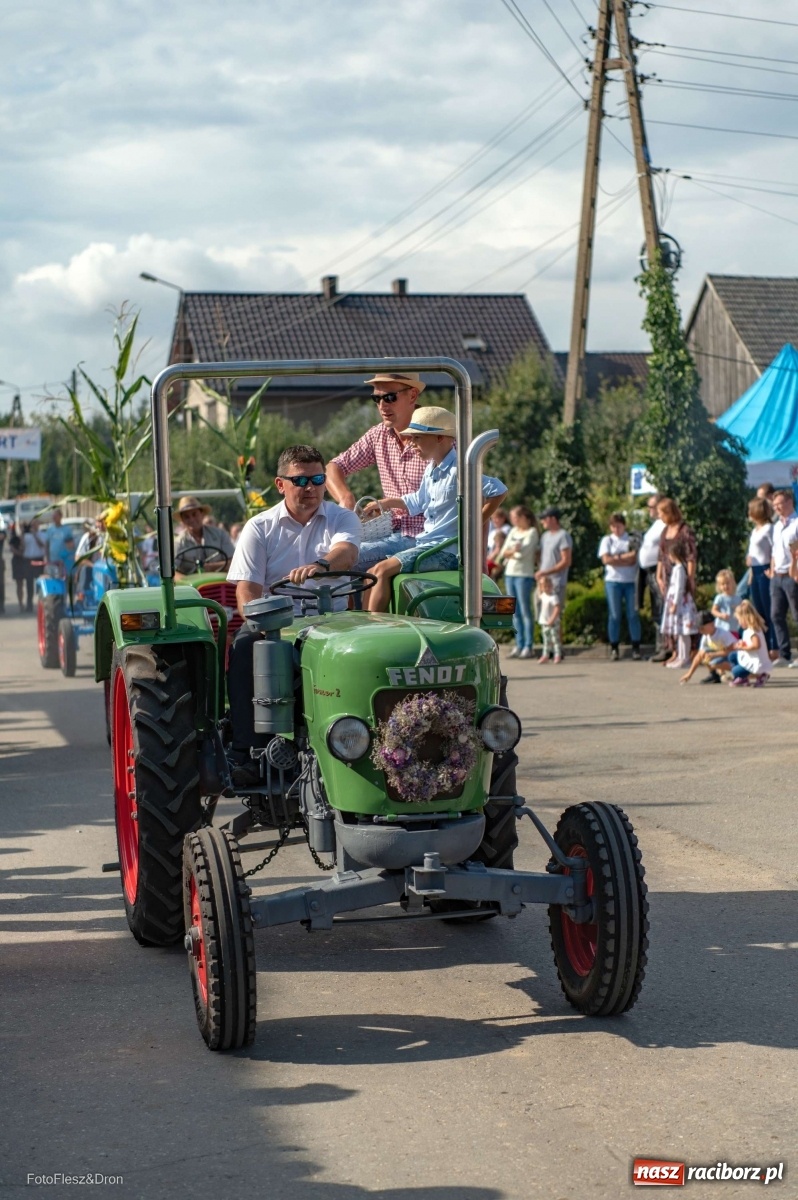 Zdjęcie w galerii na portalu naszraciborz.pl: Parada zabytkowych ciągników i maszyn rolniczych [FOTO i WIDEO] wiadomości z regionu