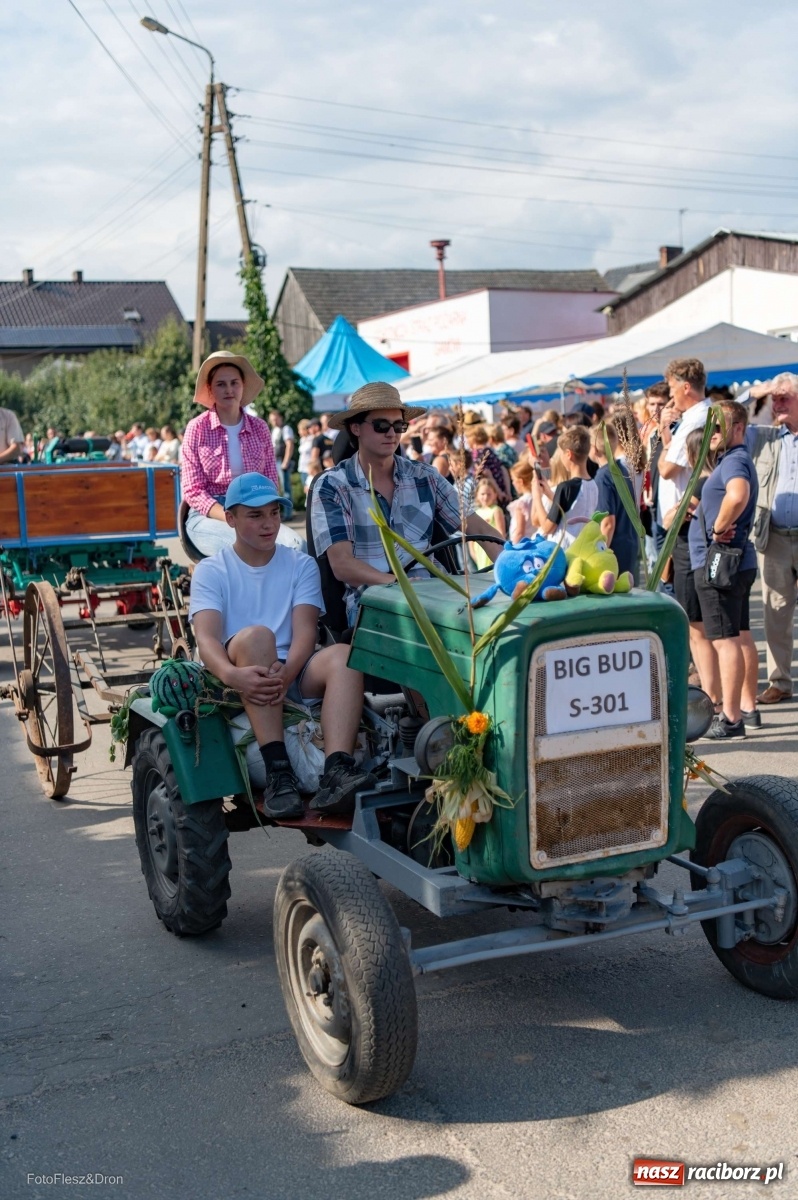 Zdjęcie w galerii na portalu naszraciborz.pl: Parada zabytkowych ciągników i maszyn rolniczych [FOTO i WIDEO] wiadomości z regionu