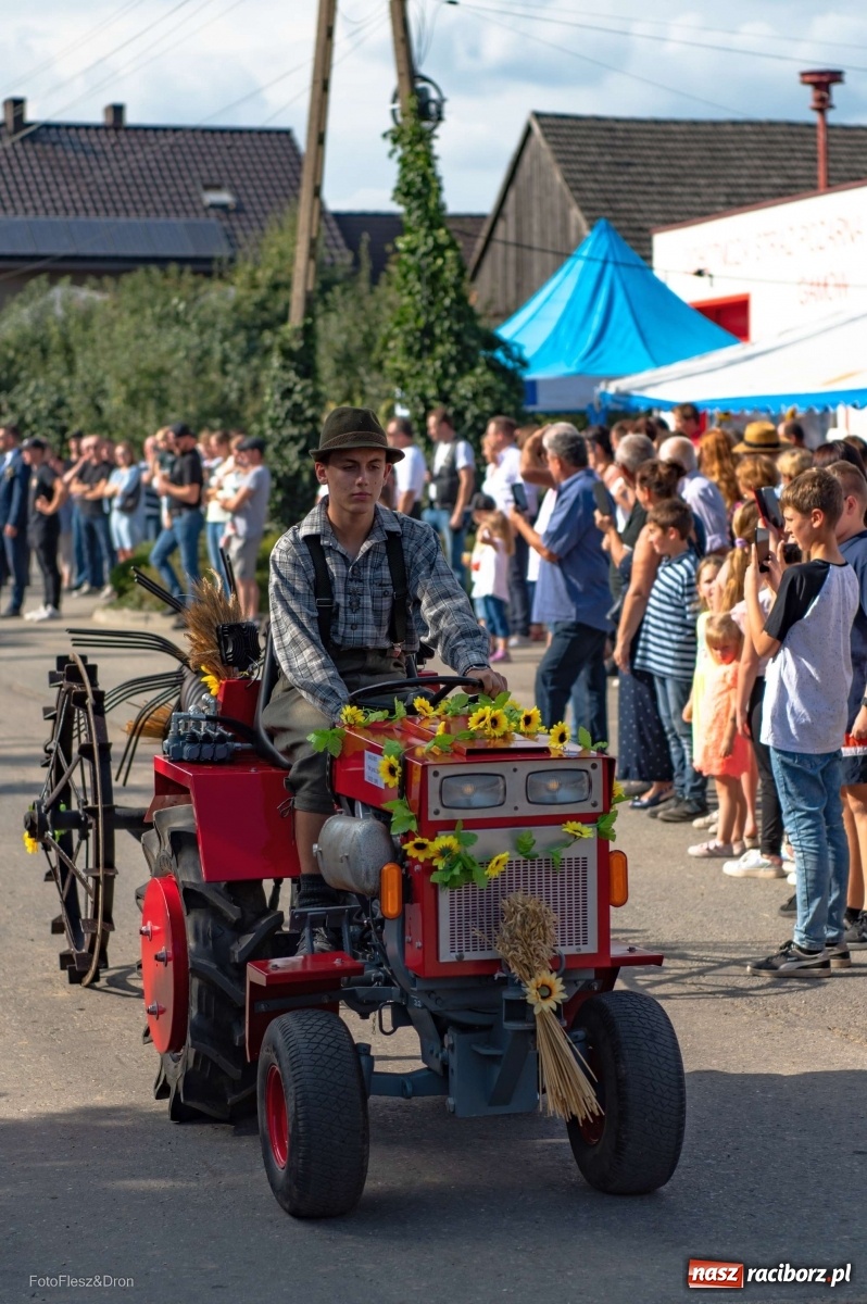 Zdjęcie w galerii na portalu naszraciborz.pl: Parada zabytkowych ciągników i maszyn rolniczych [FOTO i WIDEO] wiadomości z regionu