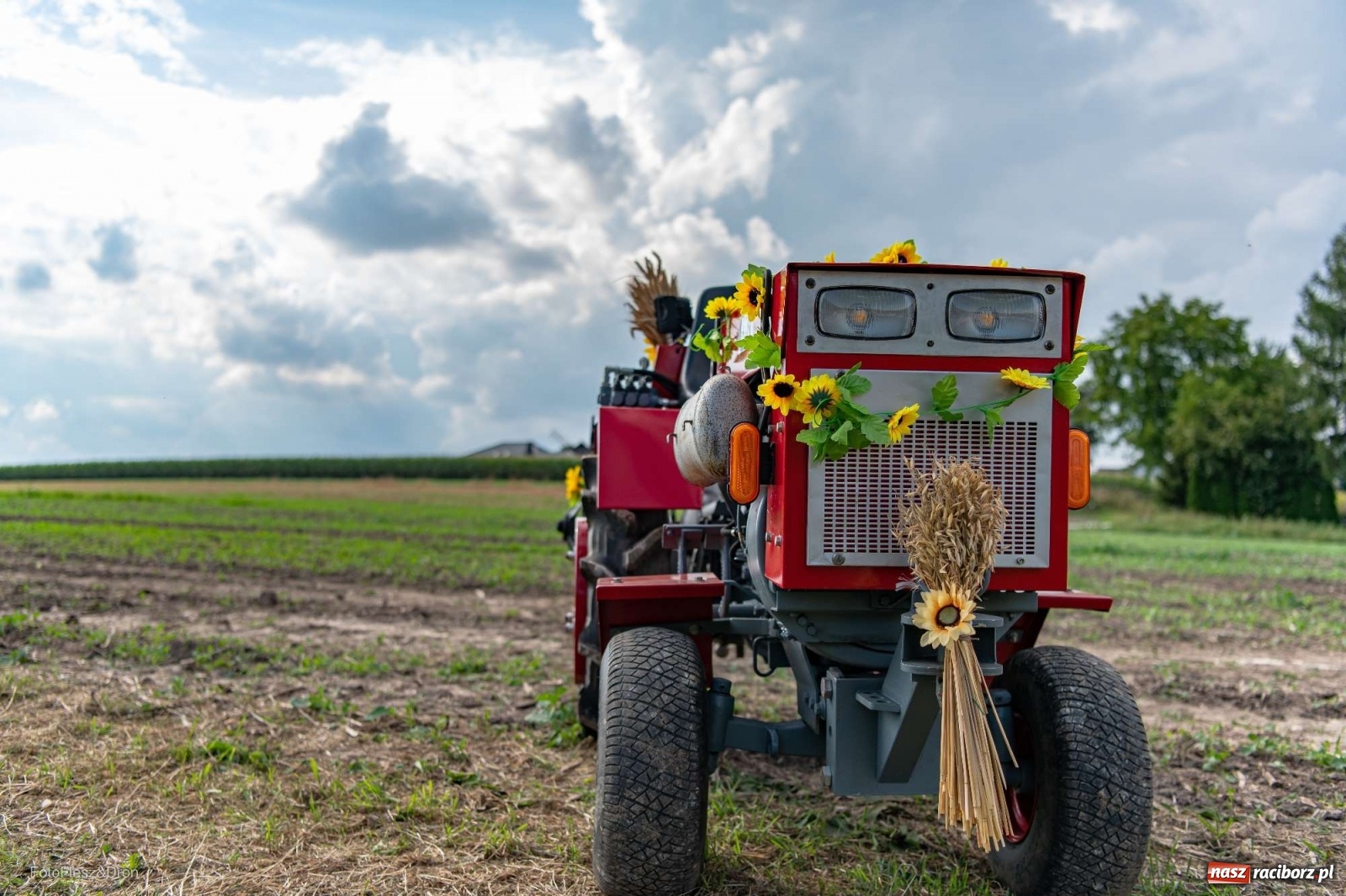 Zdjęcie w galerii na portalu naszraciborz.pl: Parada zabytkowych ciągników i maszyn rolniczych [FOTO i WIDEO] wiadomości z regionu