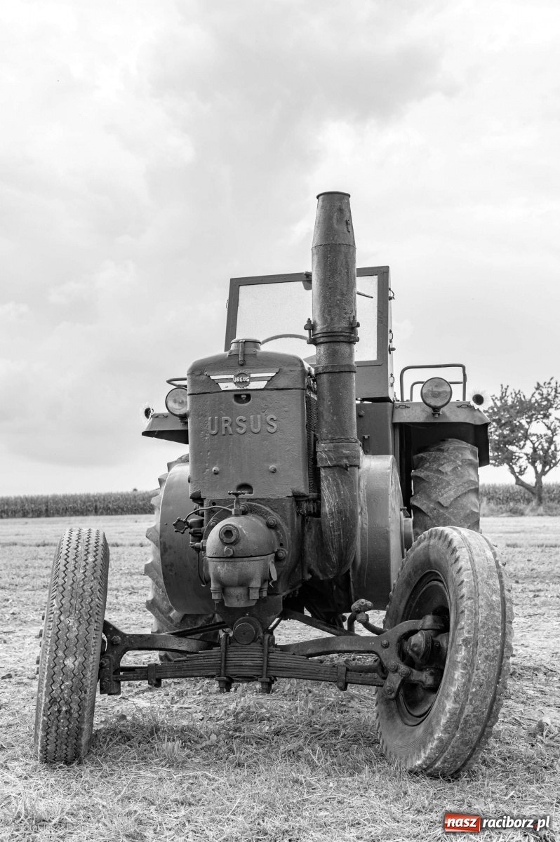 Zdjęcie w galerii na portalu naszraciborz.pl: Parada zabytkowych ciągników i maszyn rolniczych [FOTO i WIDEO] wiadomości z regionu