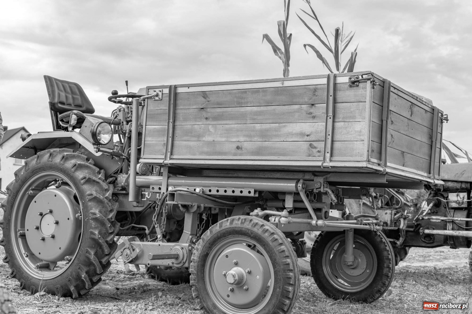 Zdjęcie w galerii na portalu naszraciborz.pl: Parada zabytkowych ciągników i maszyn rolniczych [FOTO i WIDEO] wiadomości z regionu