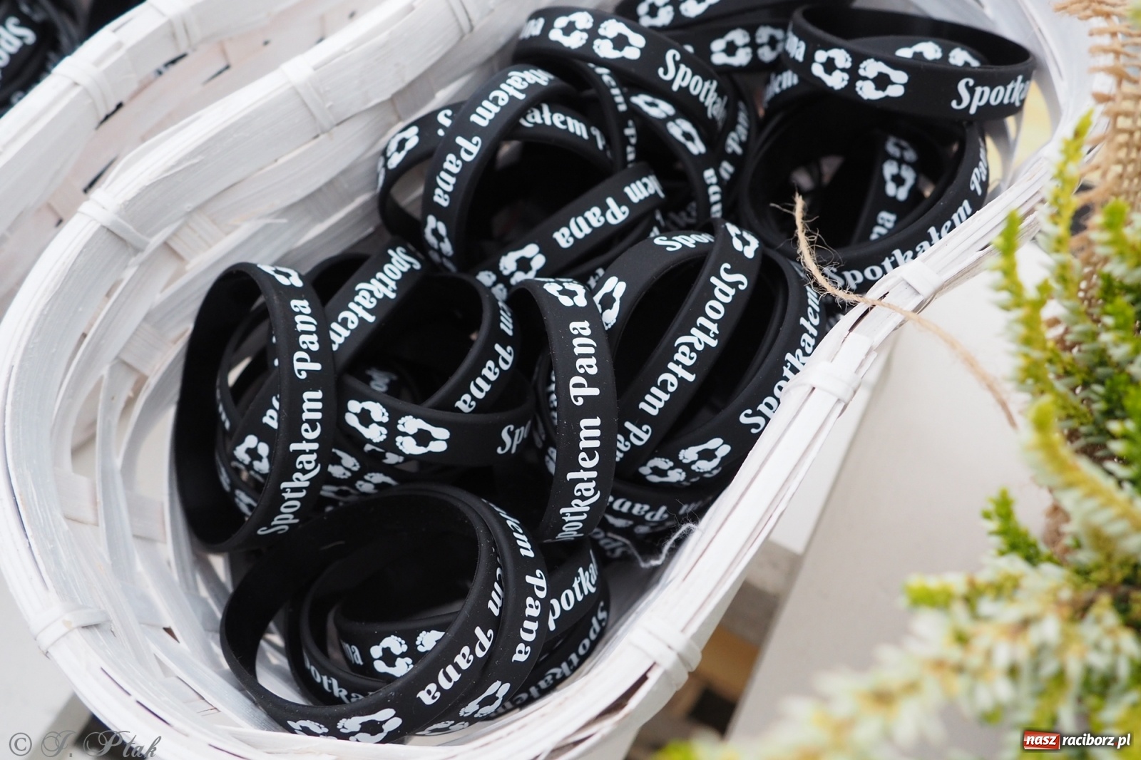 Zdjęcie w galerii na portalu naszraciborz.pl: Festiwal Spotkałem Pana - dzień 2 wiadomości z regionu