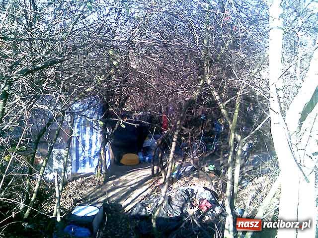 Zdjęcie w galerii na portalu naszraciborz.pl: Fontanna z trupem gołębia wiadomości z regionu