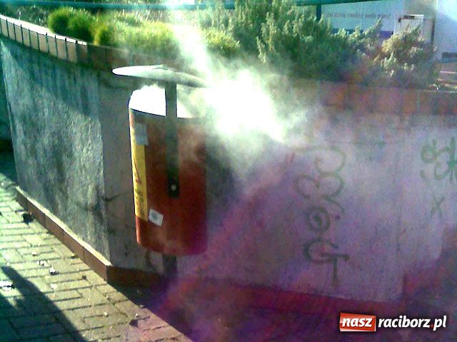 Zdjęcie w galerii na portalu naszraciborz.pl: Fontanna z trupem gołębia wiadomości z regionu