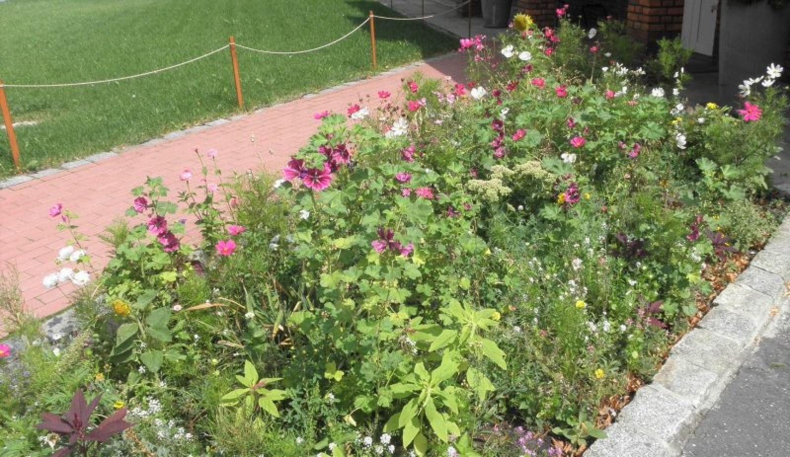 Zdjęcie w galerii na portalu naszraciborz.pl: Kwiatki Agatki. Podsumowanie magistrackiej akcji wiadomości z regionu