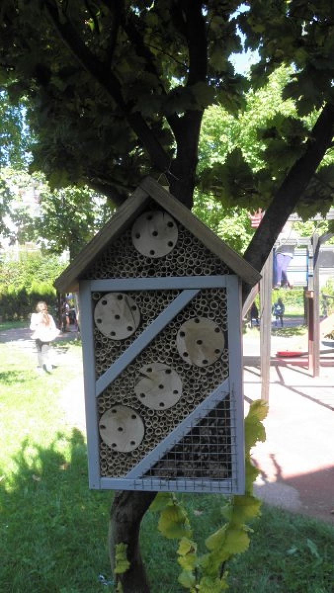 Zdjęcie w galerii na portalu naszraciborz.pl: Kwiatki Agatki. Podsumowanie magistrackiej akcji wiadomości z regionu