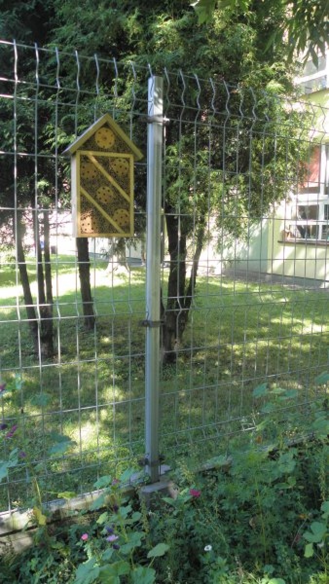 Zdjęcie w galerii na portalu naszraciborz.pl: Kwiatki Agatki. Podsumowanie magistrackiej akcji wiadomości z regionu