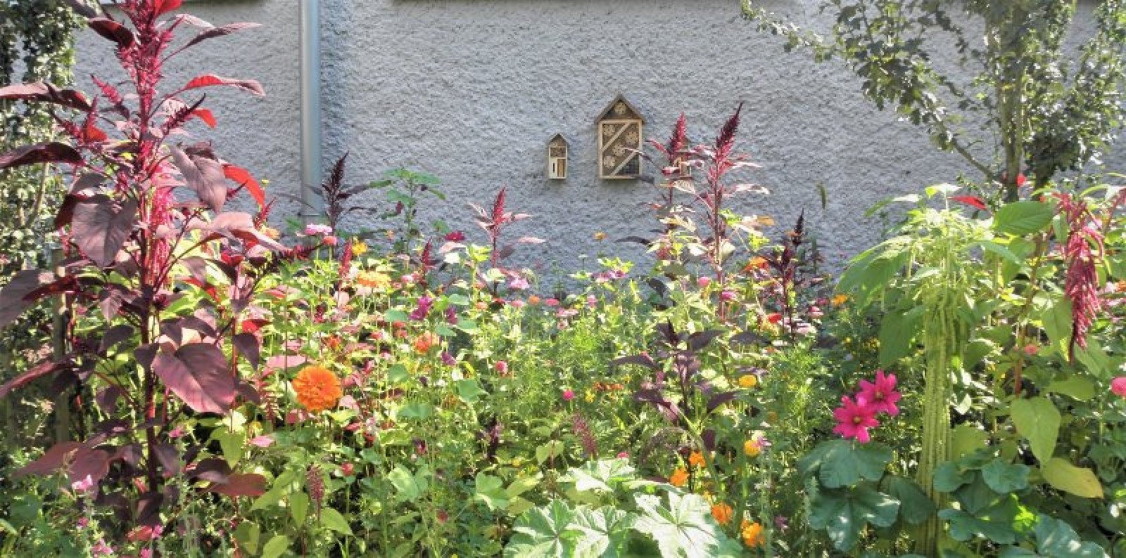 Zdjęcie w galerii na portalu naszraciborz.pl: Kwiatki Agatki. Podsumowanie magistrackiej akcji wiadomości z regionu