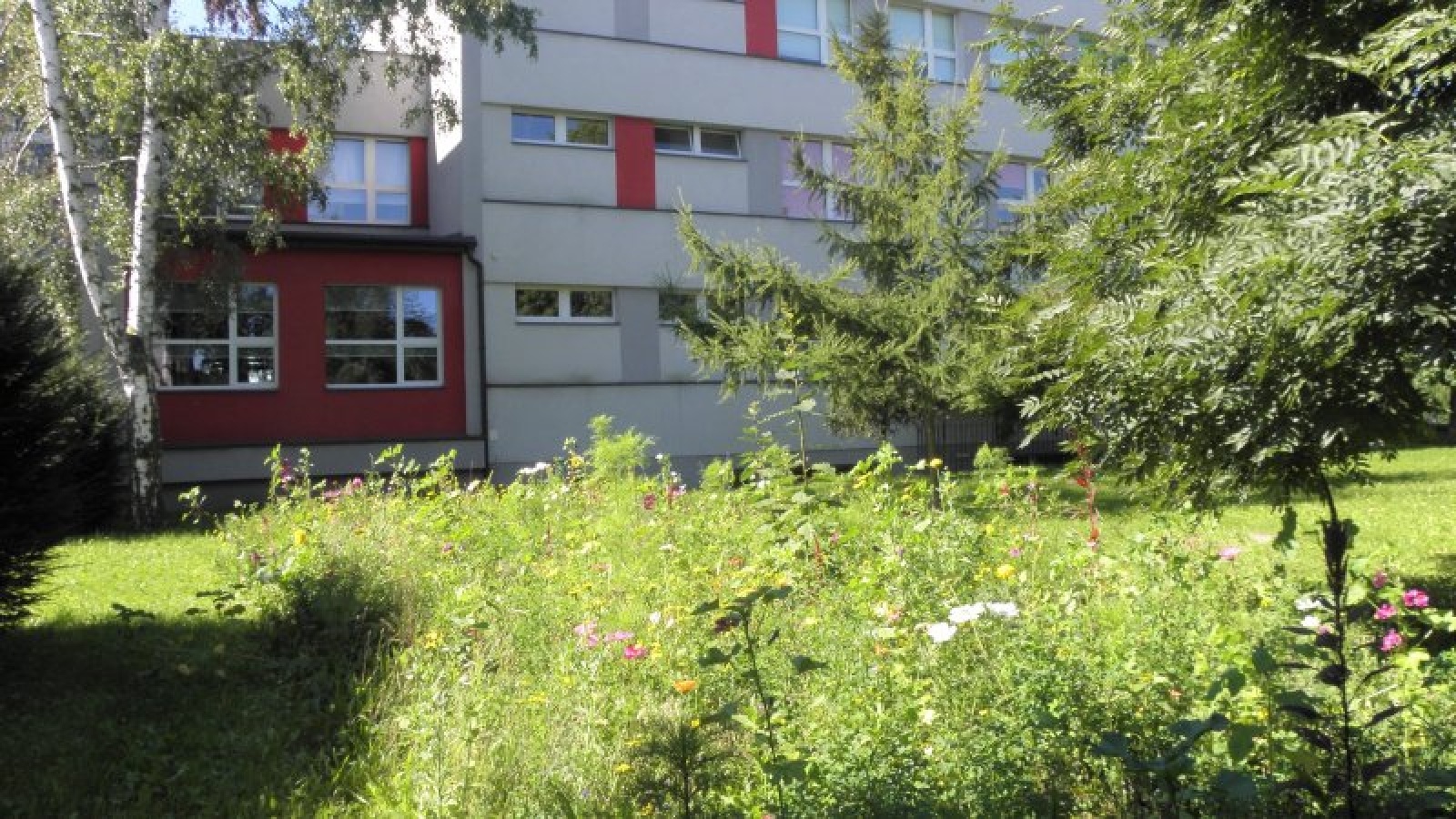 Zdjęcie w galerii na portalu naszraciborz.pl: Kwiatki Agatki. Podsumowanie magistrackiej akcji wiadomości z regionu