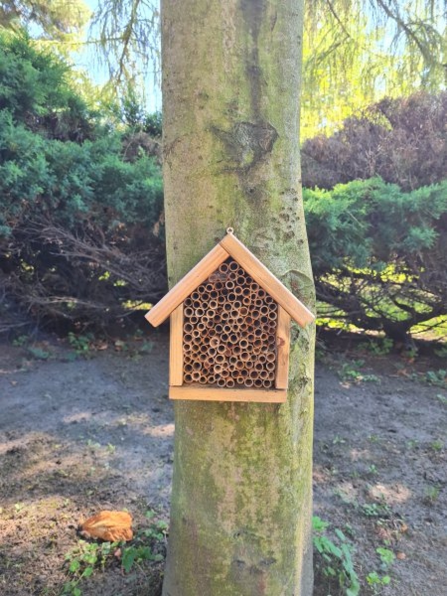 Zdjęcie w galerii na portalu naszraciborz.pl: Kwiatki Agatki. Podsumowanie magistrackiej akcji wiadomości z regionu