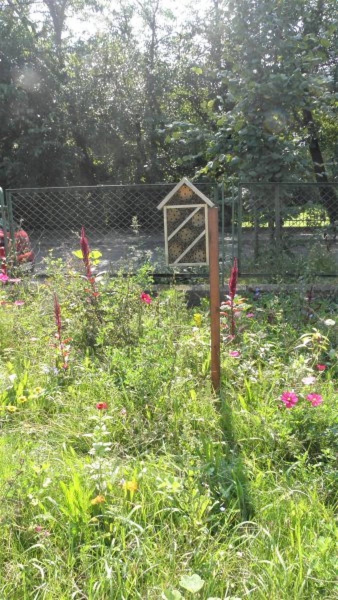 Zdjęcie w galerii na portalu naszraciborz.pl: Kwiatki Agatki. Podsumowanie magistrackiej akcji wiadomości z regionu