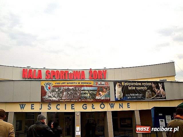 Zdjęcie w galerii na portalu naszraciborz.pl: Kocie piękności w Żorach wiadomości z regionu