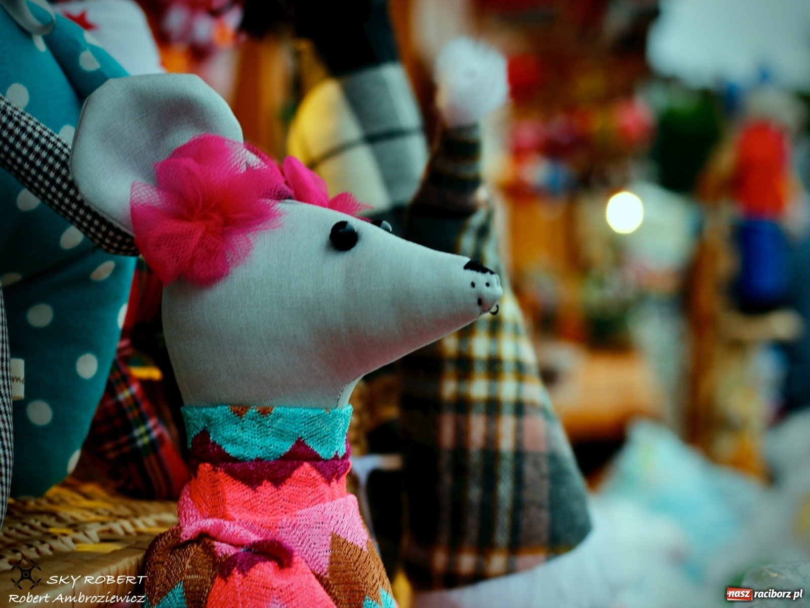 Zdjęcie w galerii na portalu naszraciborz.pl: Racibórz. Jarmark na pożegnanie lata z lotu ptaka [FOTO] wiadomości z regionu