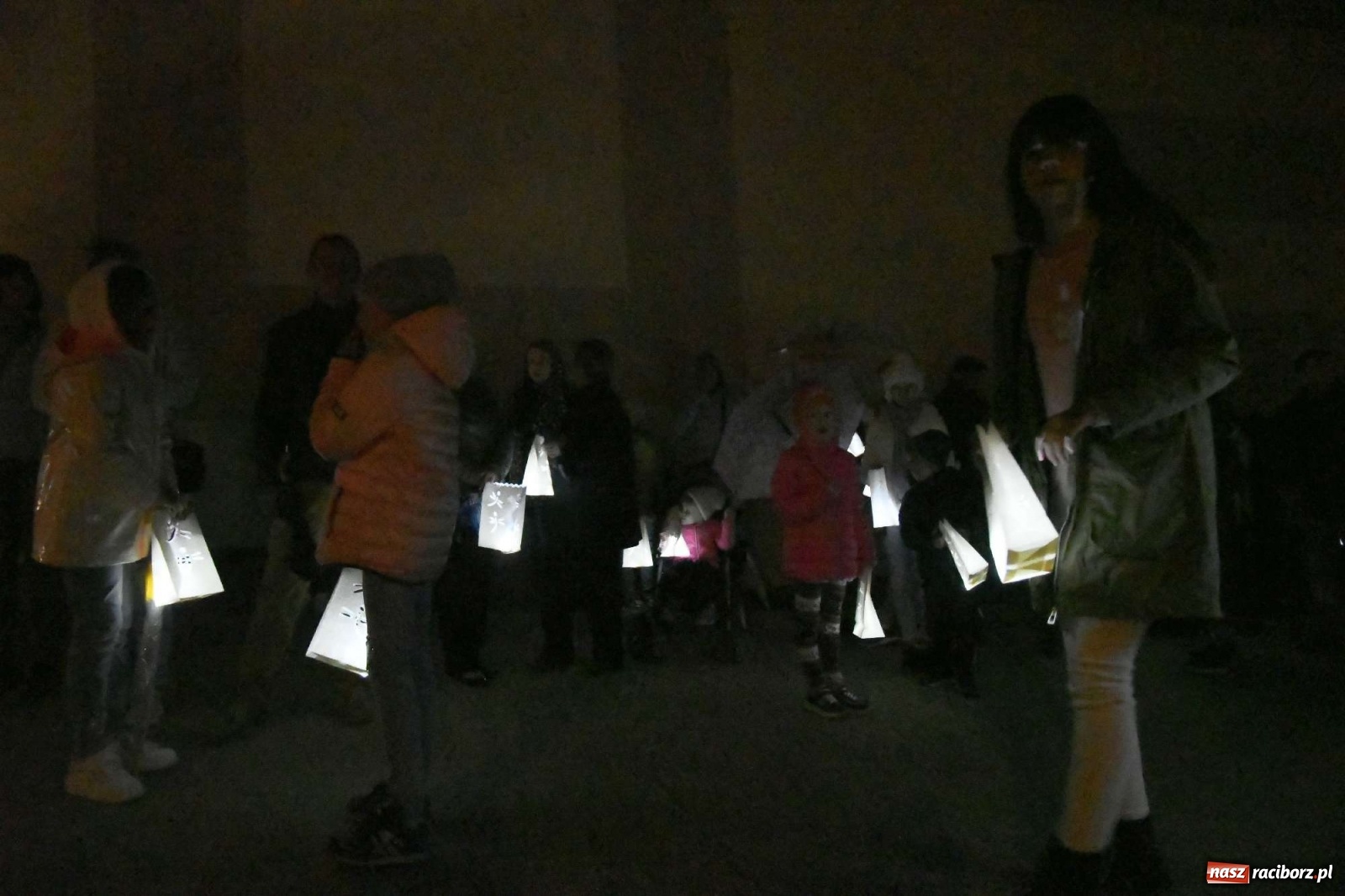 Zdjęcie w galerii na portalu naszraciborz.pl: Parada świateł i spektakl przed pałacem w Pogrzebieniu [FOTO i WIDEO] wiadomości z regionu