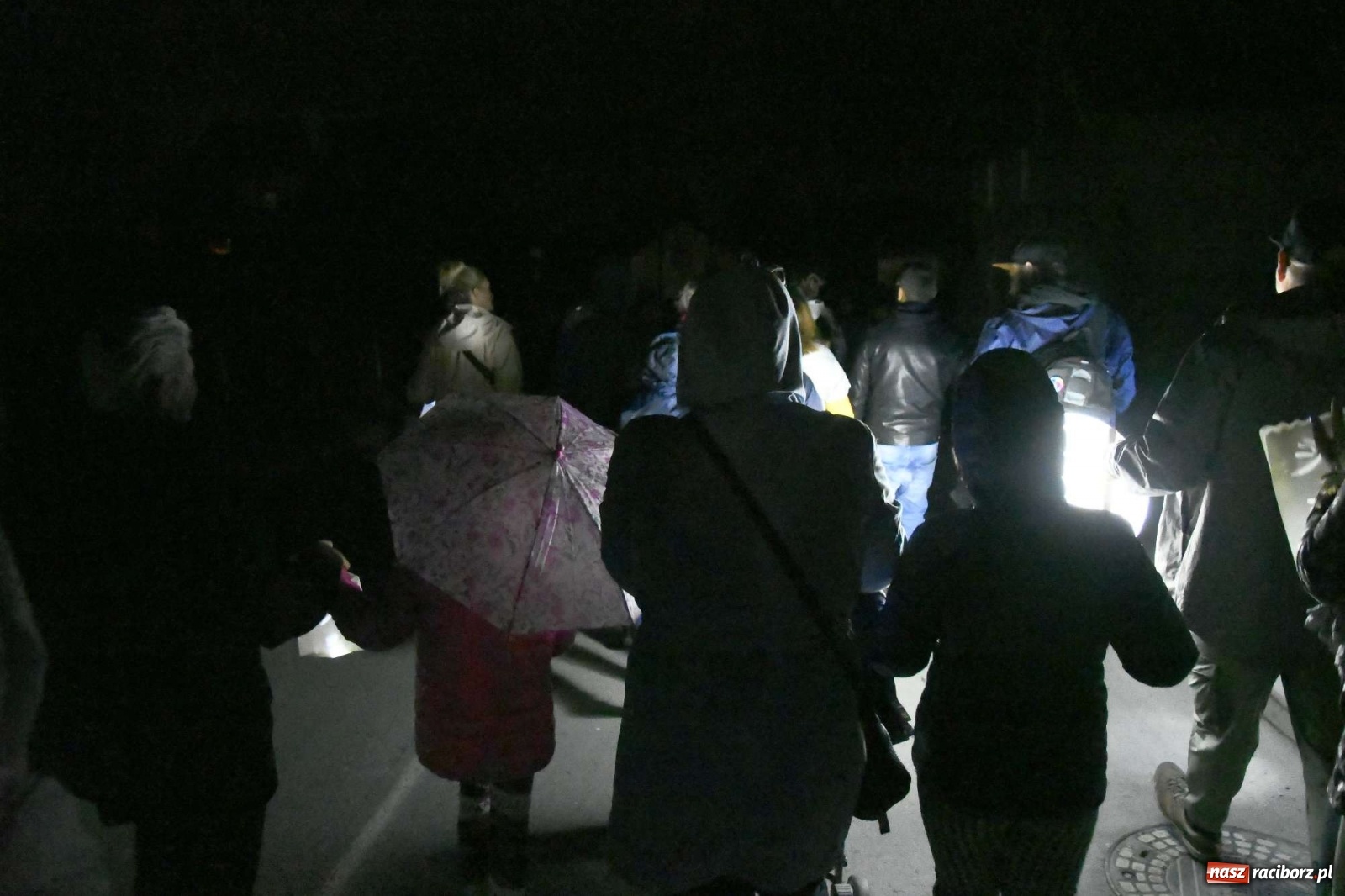 Zdjęcie w galerii na portalu naszraciborz.pl: Parada świateł i spektakl przed pałacem w Pogrzebieniu [FOTO i WIDEO] wiadomości z regionu