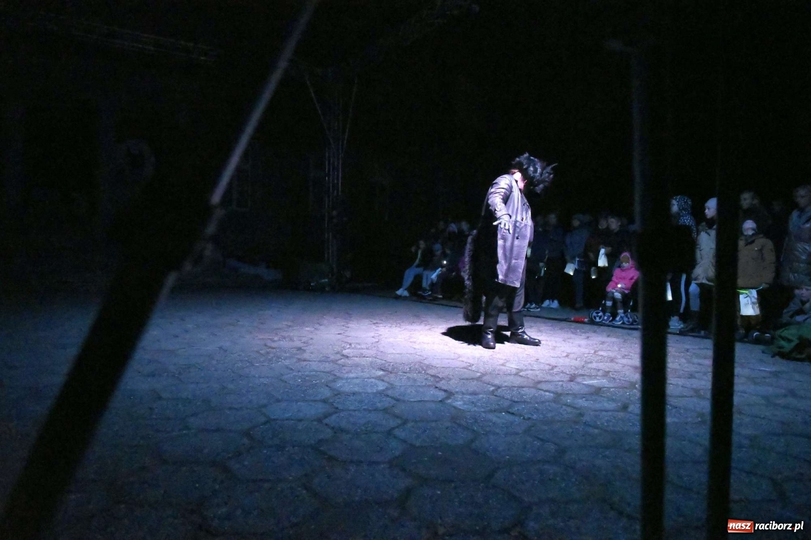 Zdjęcie w galerii na portalu naszraciborz.pl: Parada świateł i spektakl przed pałacem w Pogrzebieniu [FOTO i WIDEO] wiadomości z regionu