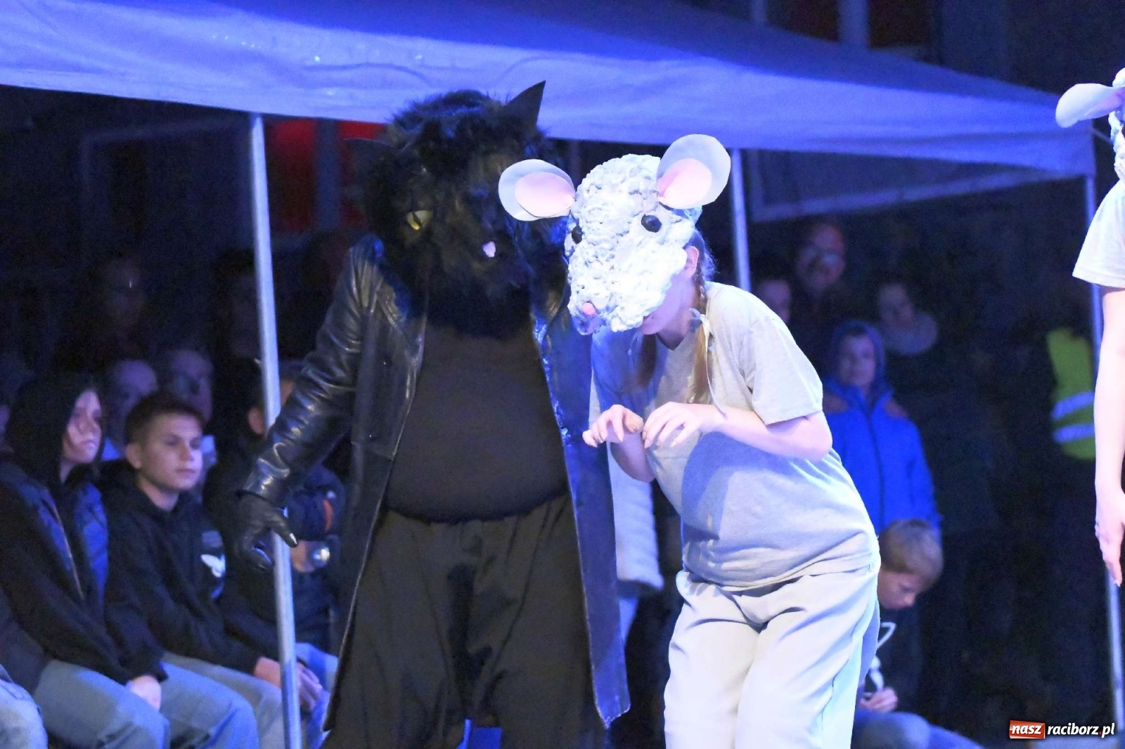 Zdjęcie w galerii na portalu naszraciborz.pl: Parada świateł i spektakl przed pałacem w Pogrzebieniu [FOTO i WIDEO] wiadomości z regionu