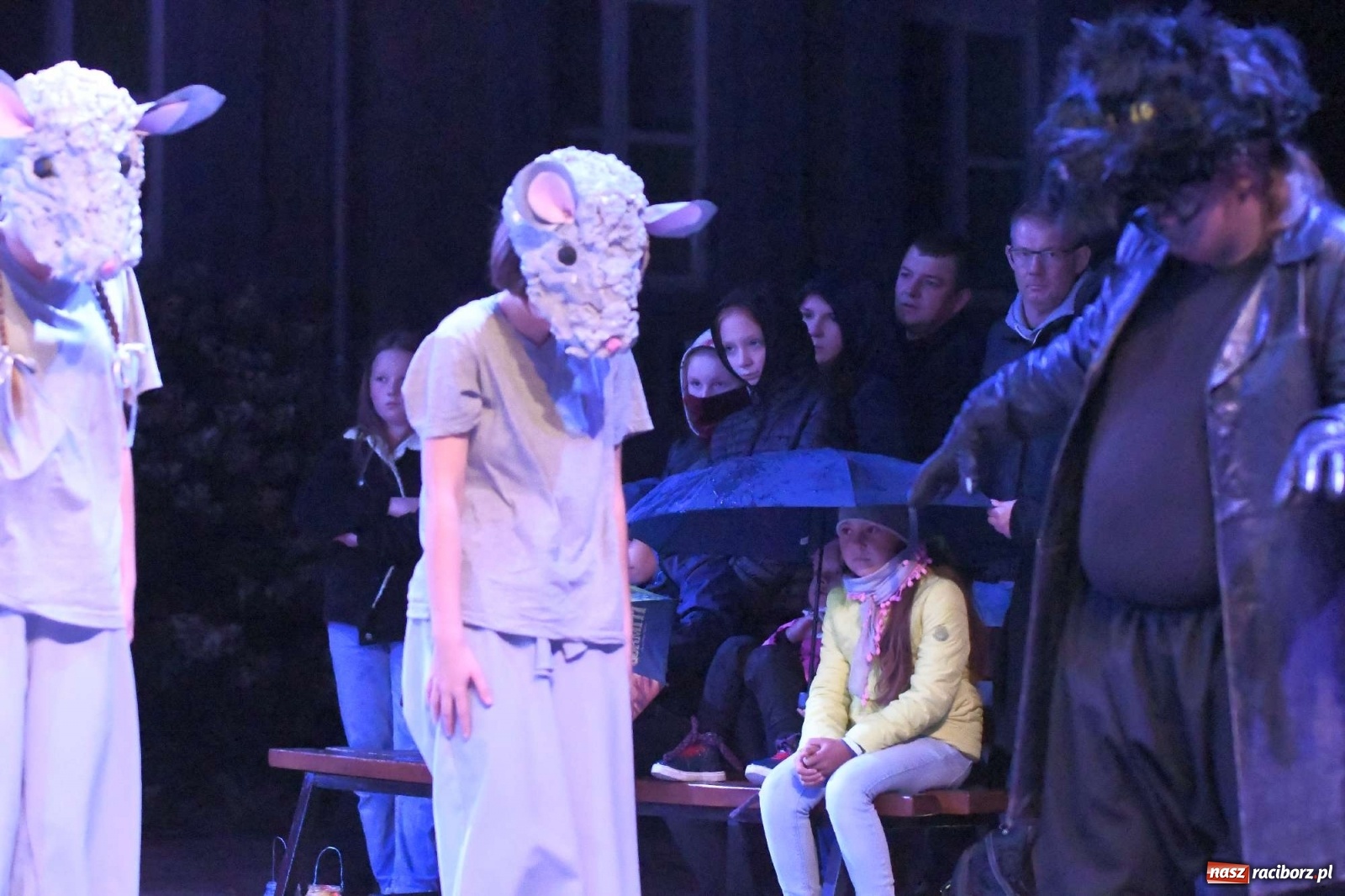 Zdjęcie w galerii na portalu naszraciborz.pl: Parada świateł i spektakl przed pałacem w Pogrzebieniu [FOTO i WIDEO] wiadomości z regionu