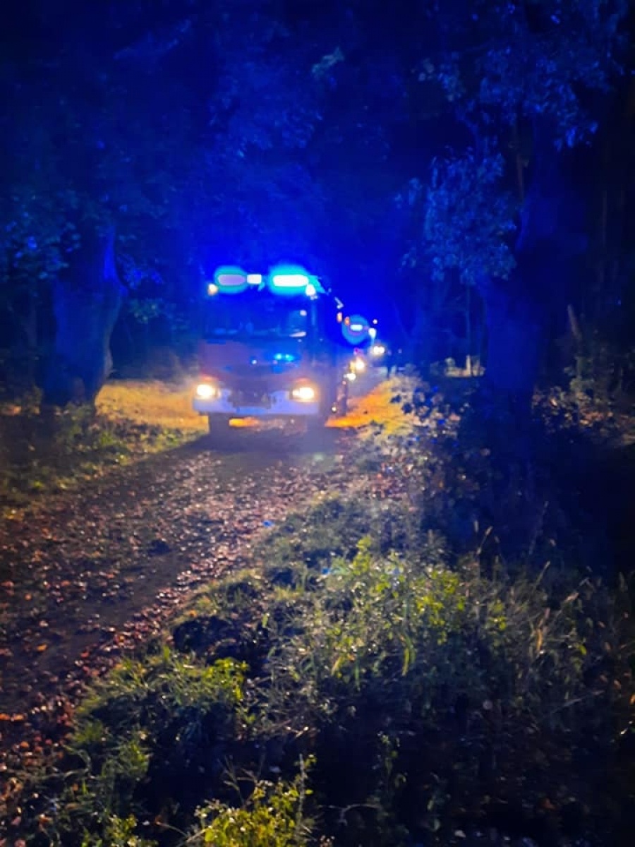 Zdjęcie w galerii na portalu naszraciborz.pl: Tragiczne zdarzenie na torach pomiędzy Kuźnią Raciborską a Raciborzem wiadomości z regionu