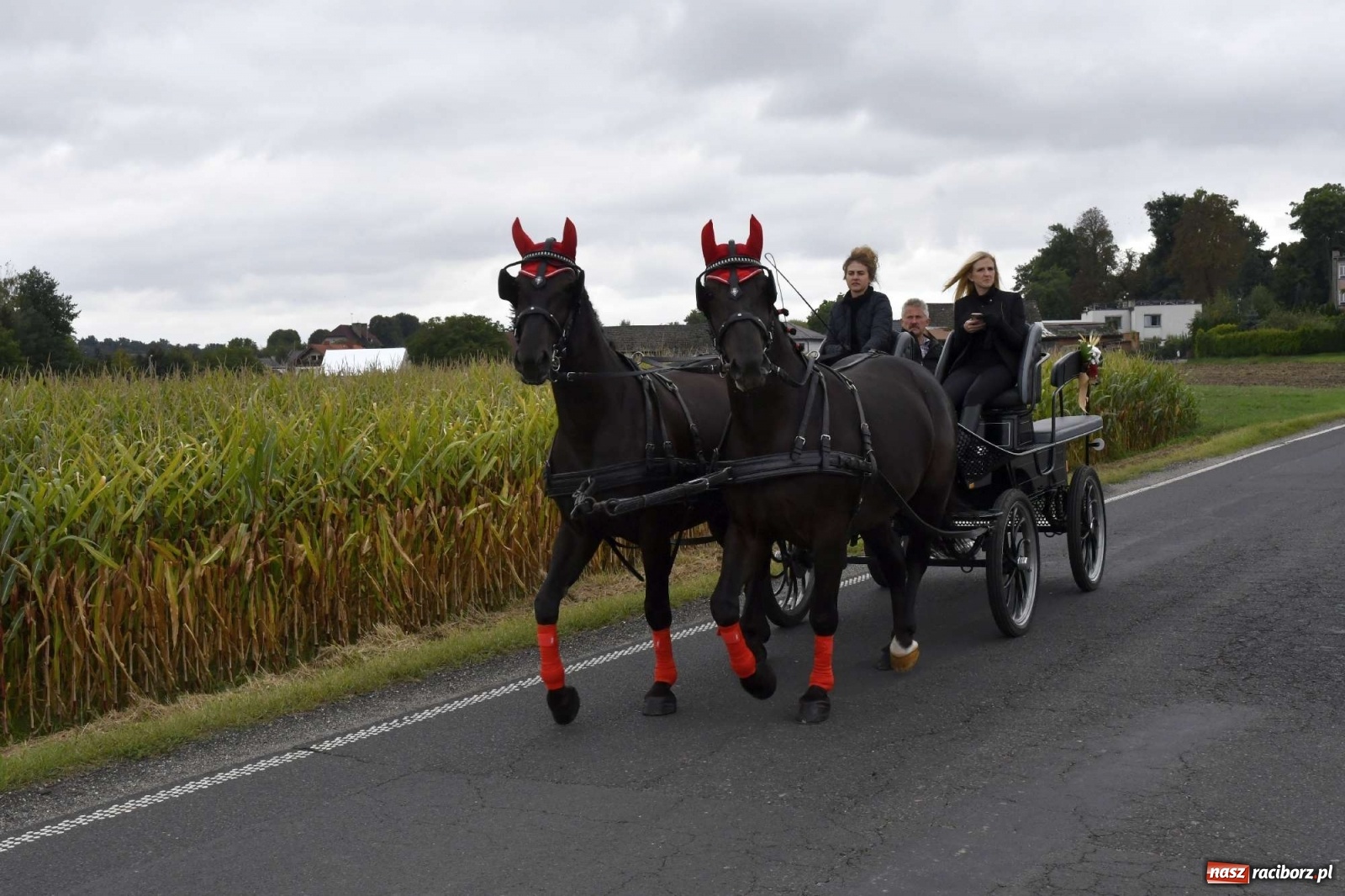 Zdjęcie w galerii na portalu naszraciborz.pl: Pawłów młodymi rolnikami stoi. Dożynki 2021 [FOTO i WIDEO] wiadomości z regionu