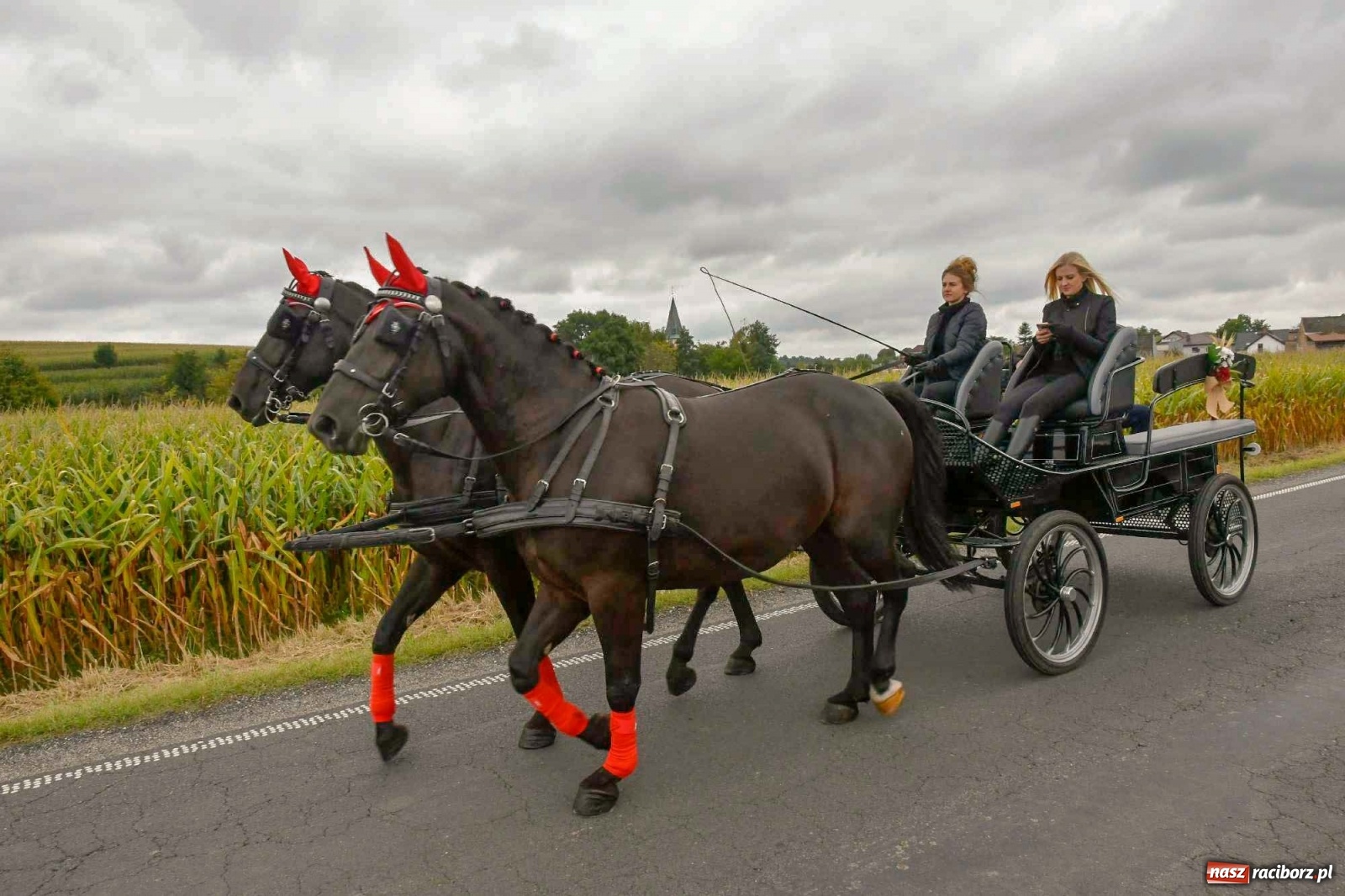 Zdjęcie w galerii na portalu naszraciborz.pl: Pawłów młodymi rolnikami stoi. Dożynki 2021 [FOTO i WIDEO] wiadomości z regionu