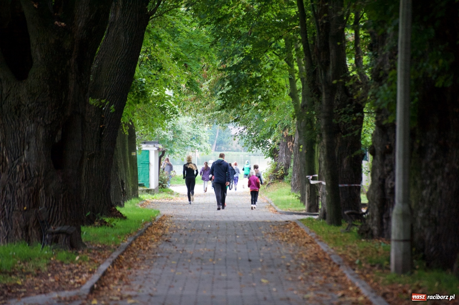 Zdjęcie w galerii na portalu naszraciborz.pl: Bieg o Złoty Kłos. Tworków debiutuje na mapie sportów biegowych wiadomości z regionu