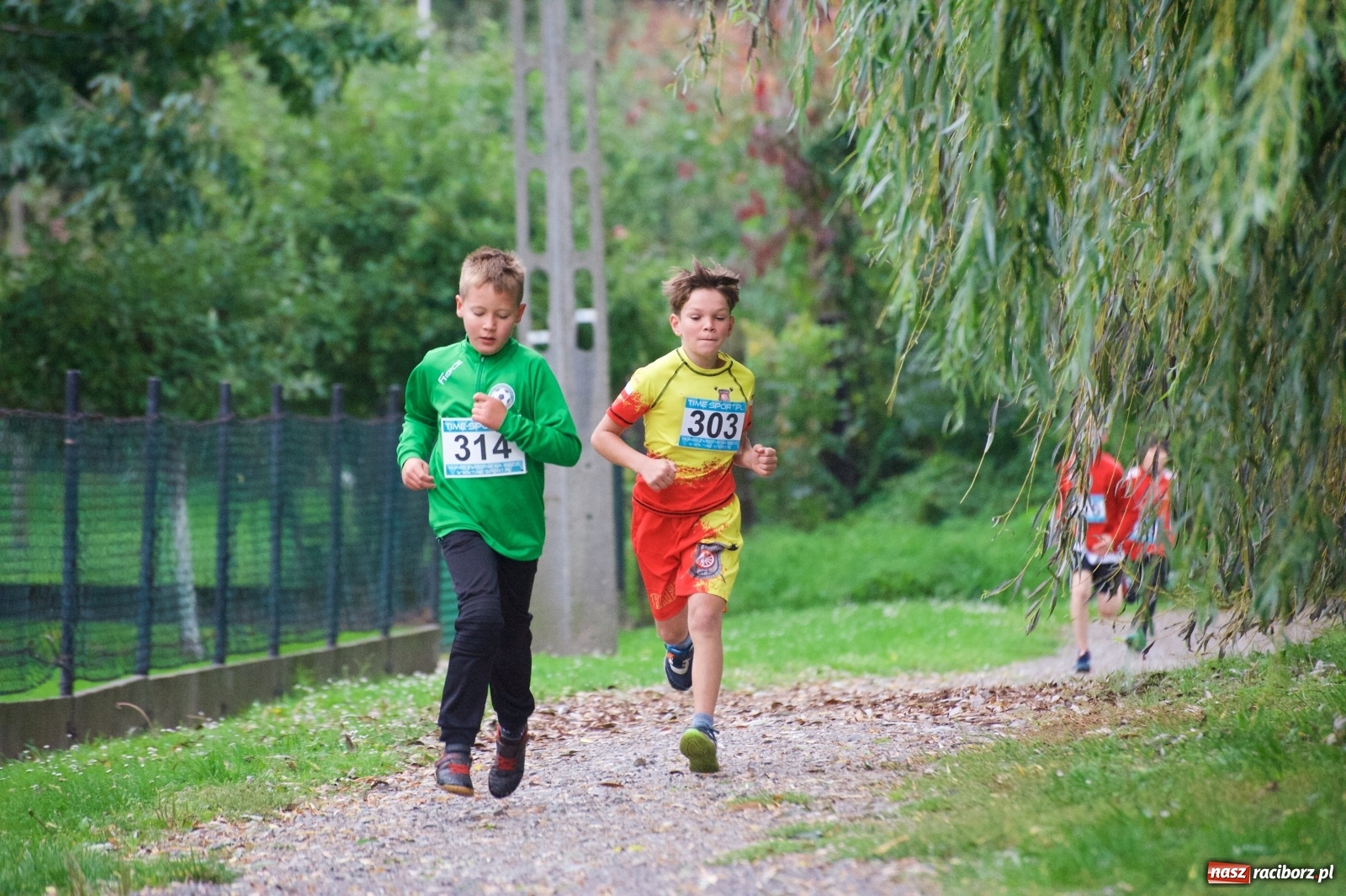 Zdjęcie w galerii na portalu naszraciborz.pl: Bieg o Złoty Kłos. Tworków debiutuje na mapie sportów biegowych wiadomości z regionu