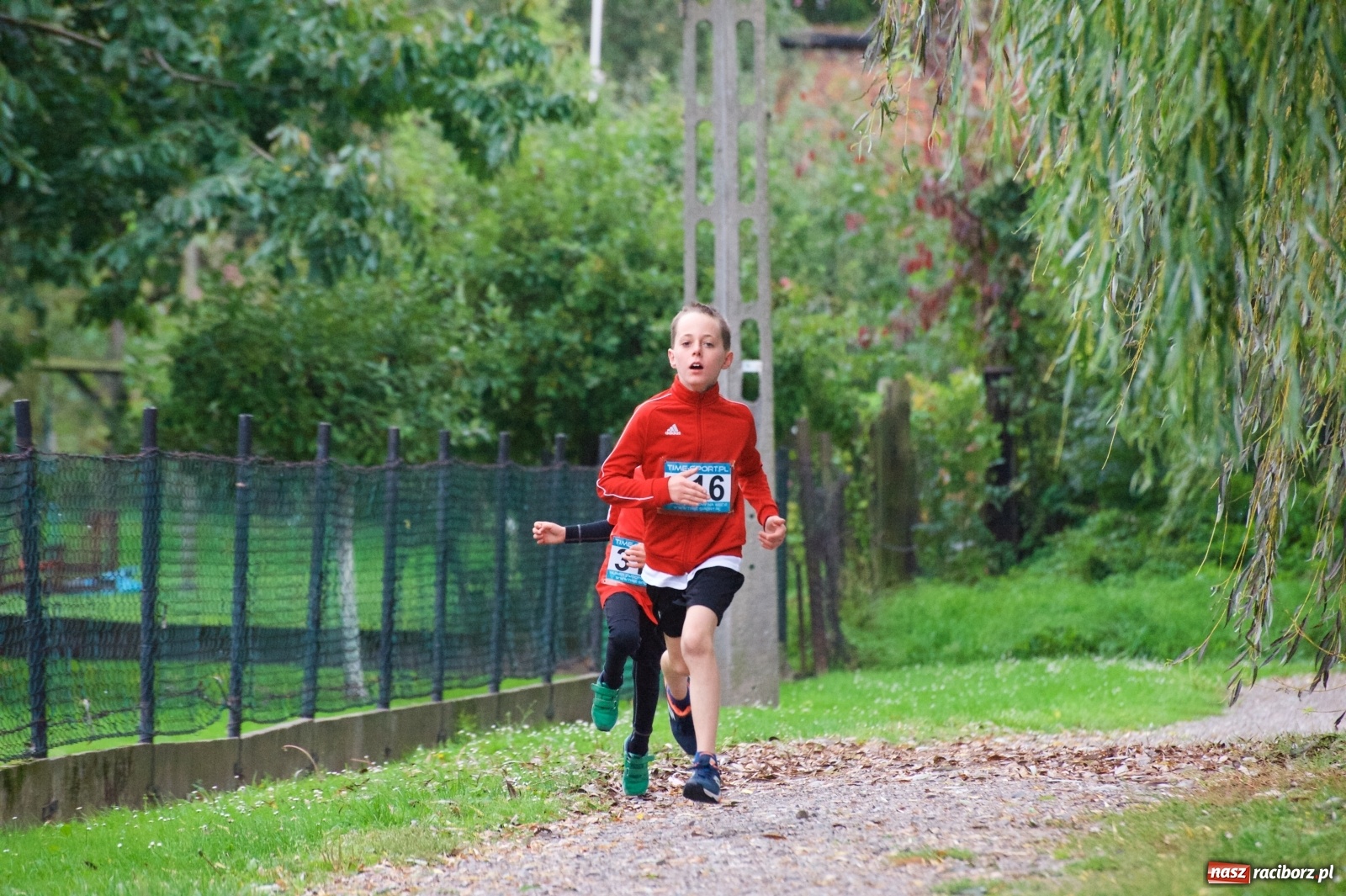 Zdjęcie w galerii na portalu naszraciborz.pl: Bieg o Złoty Kłos. Tworków debiutuje na mapie sportów biegowych wiadomości z regionu