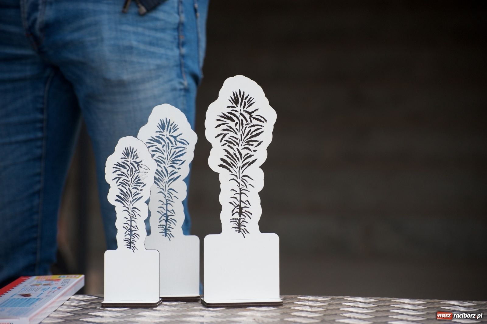 Zdjęcie w galerii na portalu naszraciborz.pl: Bieg o Złoty Kłos. Tworków debiutuje na mapie sportów biegowych wiadomości z regionu