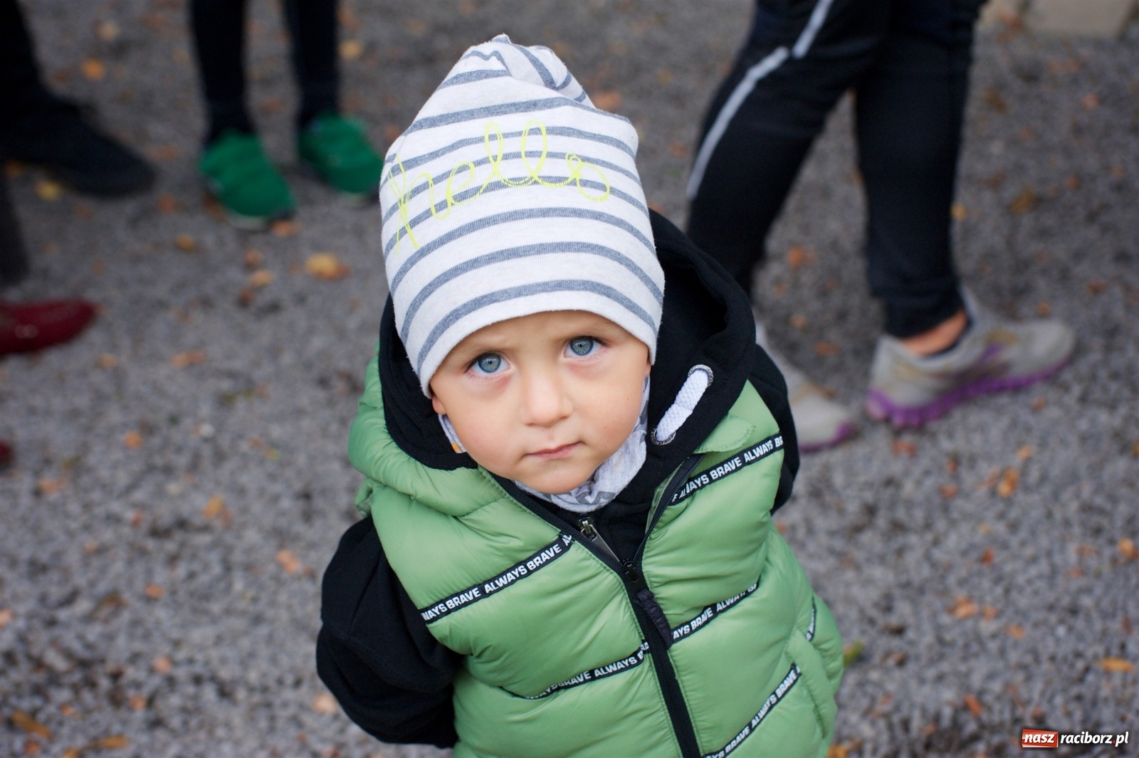 Zdjęcie w galerii na portalu naszraciborz.pl: Bieg o Złoty Kłos. Tworków debiutuje na mapie sportów biegowych wiadomości z regionu