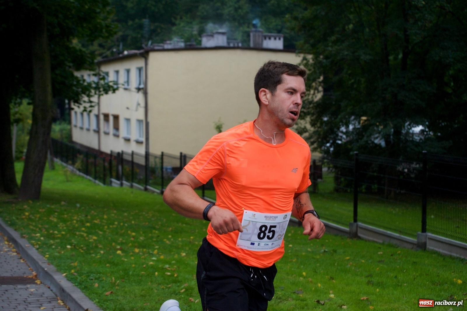 Zdjęcie w galerii na portalu naszraciborz.pl: Bieg o Złoty Kłos. Tworków debiutuje na mapie sportów biegowych wiadomości z regionu