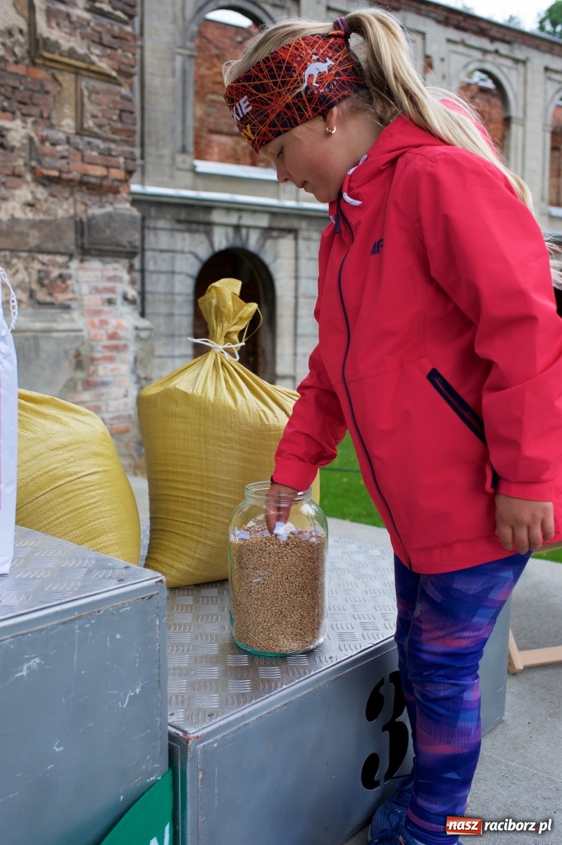 Zdjęcie w galerii na portalu naszraciborz.pl: Bieg o Złoty Kłos. Tworków debiutuje na mapie sportów biegowych wiadomości z regionu