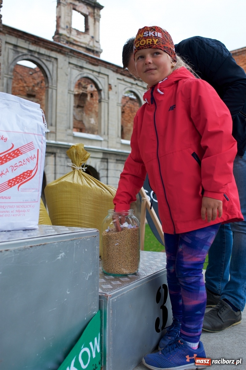 Zdjęcie w galerii na portalu naszraciborz.pl: Bieg o Złoty Kłos. Tworków debiutuje na mapie sportów biegowych wiadomości z regionu