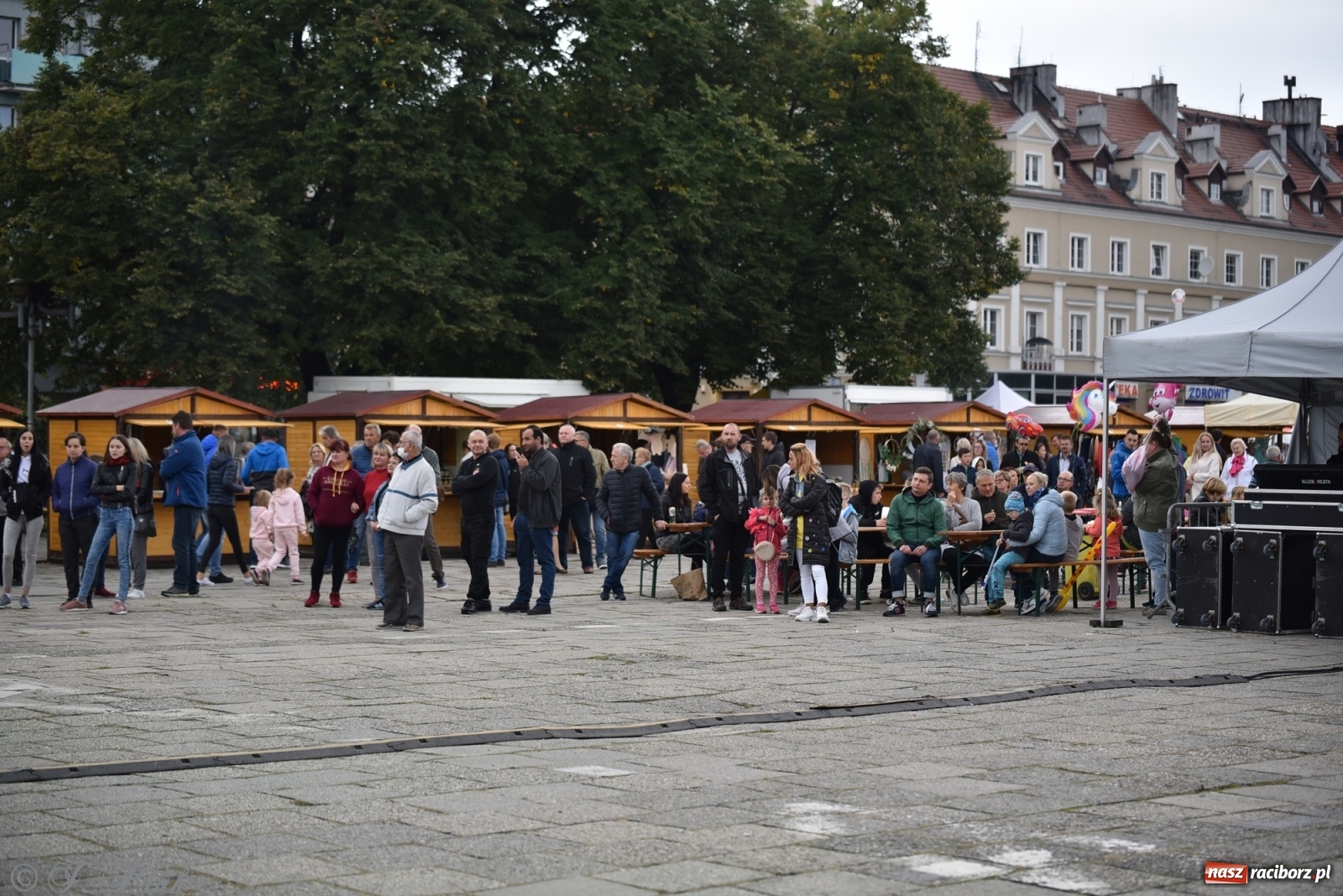 Zdjęcie w galerii na portalu naszraciborz.pl: VOLTAGE – Klimaszka, Stuchły i Thamm na pożegnaniu lata wiadomości z regionu