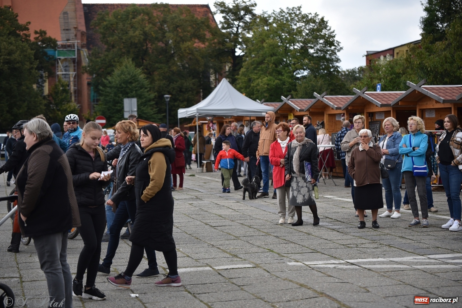 Zdjęcie w galerii na portalu naszraciborz.pl: VOLTAGE – Klimaszka, Stuchły i Thamm na pożegnaniu lata wiadomości z regionu