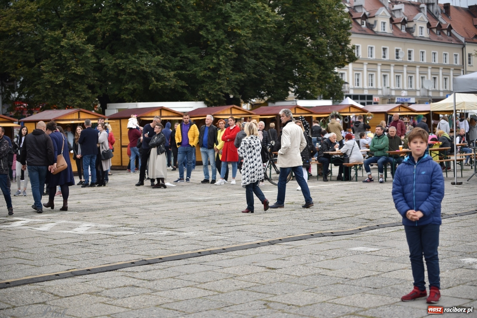 Zdjęcie w galerii na portalu naszraciborz.pl: VOLTAGE – Klimaszka, Stuchły i Thamm na pożegnaniu lata wiadomości z regionu