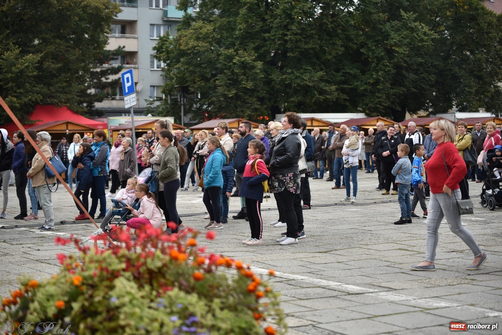 Zdjęcie w galerii na portalu naszraciborz.pl: Moherowe Berety na raciborskim jarmarku wiadomości z regionu
