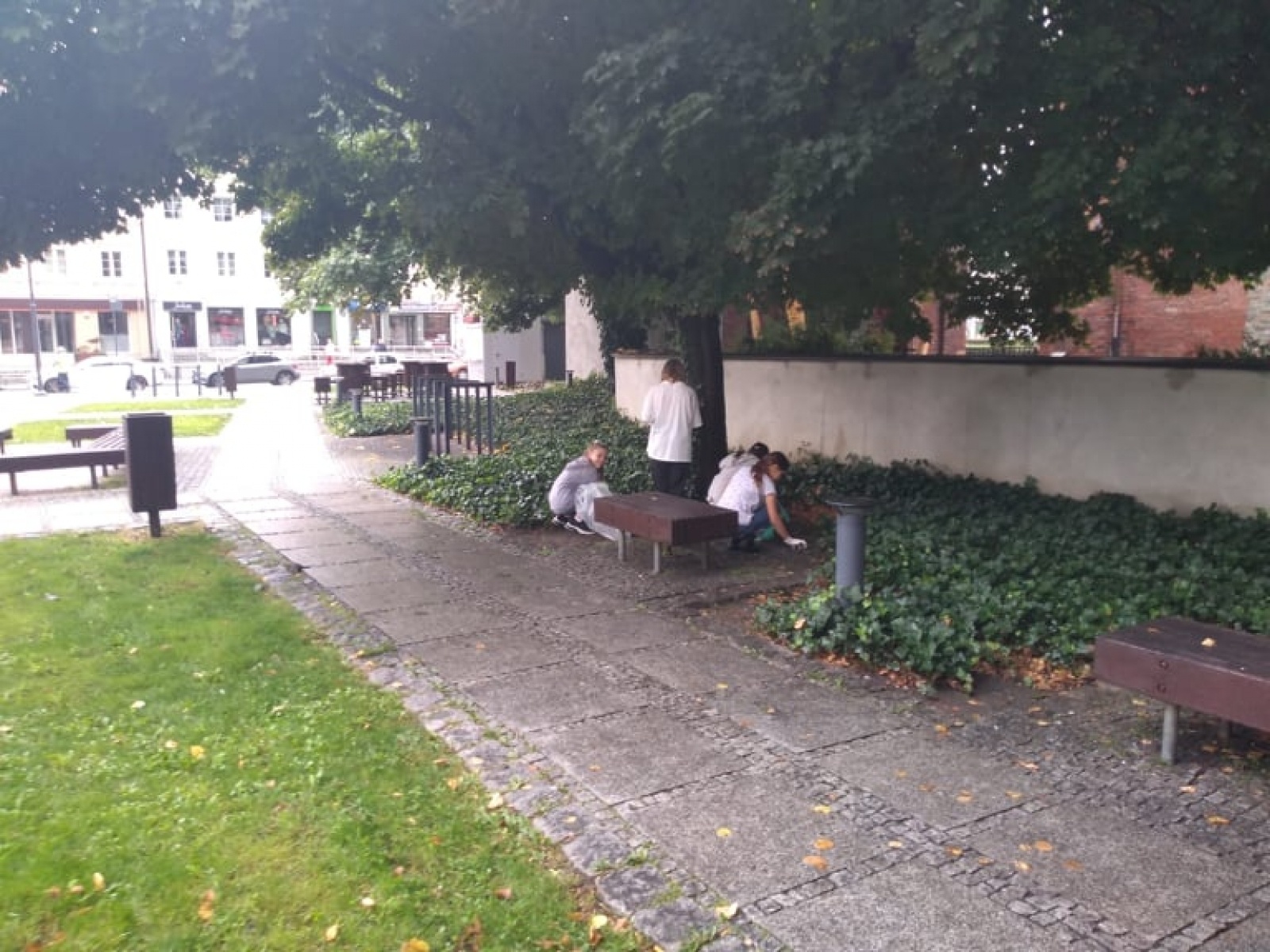 Zdjęcie w galerii na portalu naszraciborz.pl: Myślę, więc nie śmiecę. Uczniowie Trzynastki sprzątali centrum Raciborza [FOTO] wiadomości z regionu