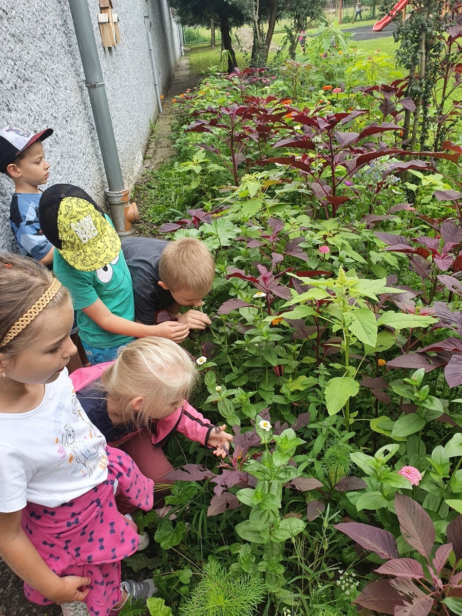 Zdjęcie w galerii na portalu naszraciborz.pl: Do przedszkolaków z Mysłowickiej i nie tylko uśmiechnęło się szczęście wiadomości z regionu