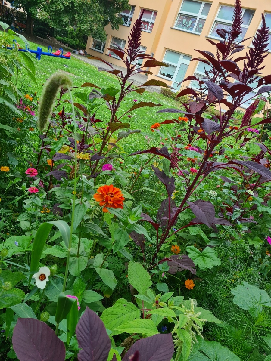 Zdjęcie w galerii na portalu naszraciborz.pl: Do przedszkolaków z Mysłowickiej i nie tylko uśmiechnęło się szczęście wiadomości z regionu