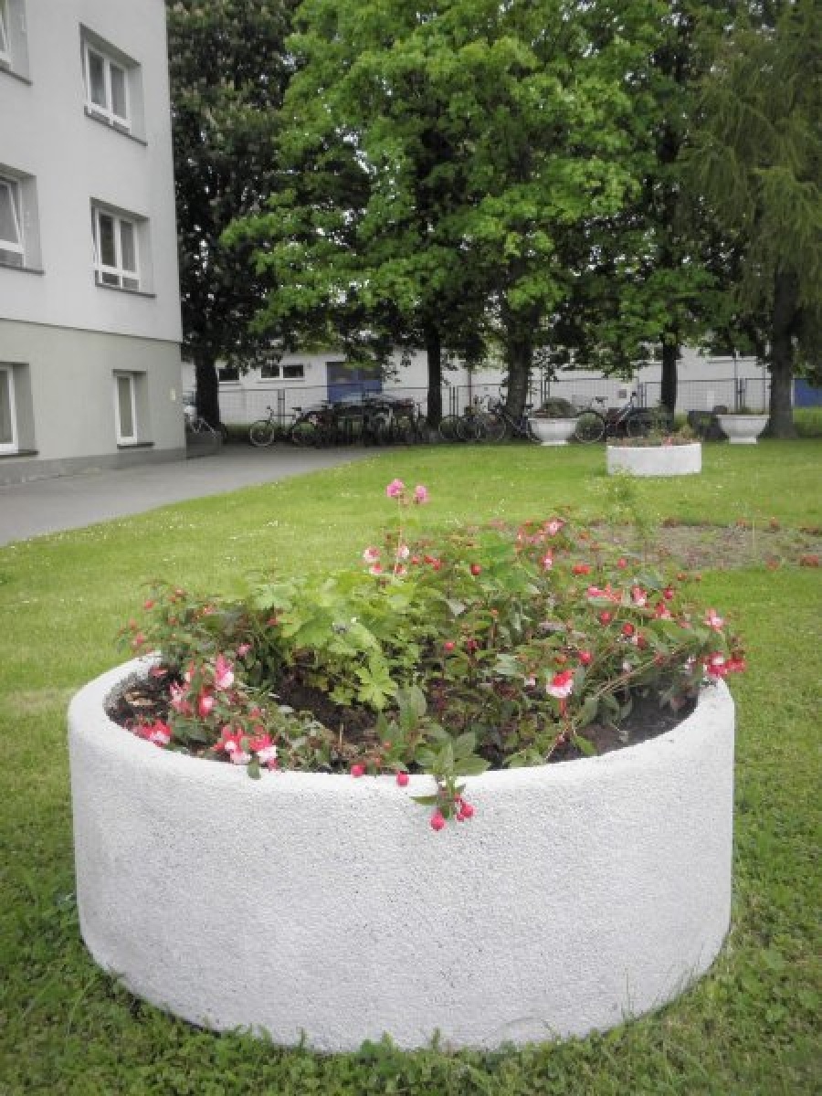 Zdjęcie w galerii na portalu naszraciborz.pl: Zaadoptuj donicę. Drugie życie raciborskiego betonu wiadomości z regionu