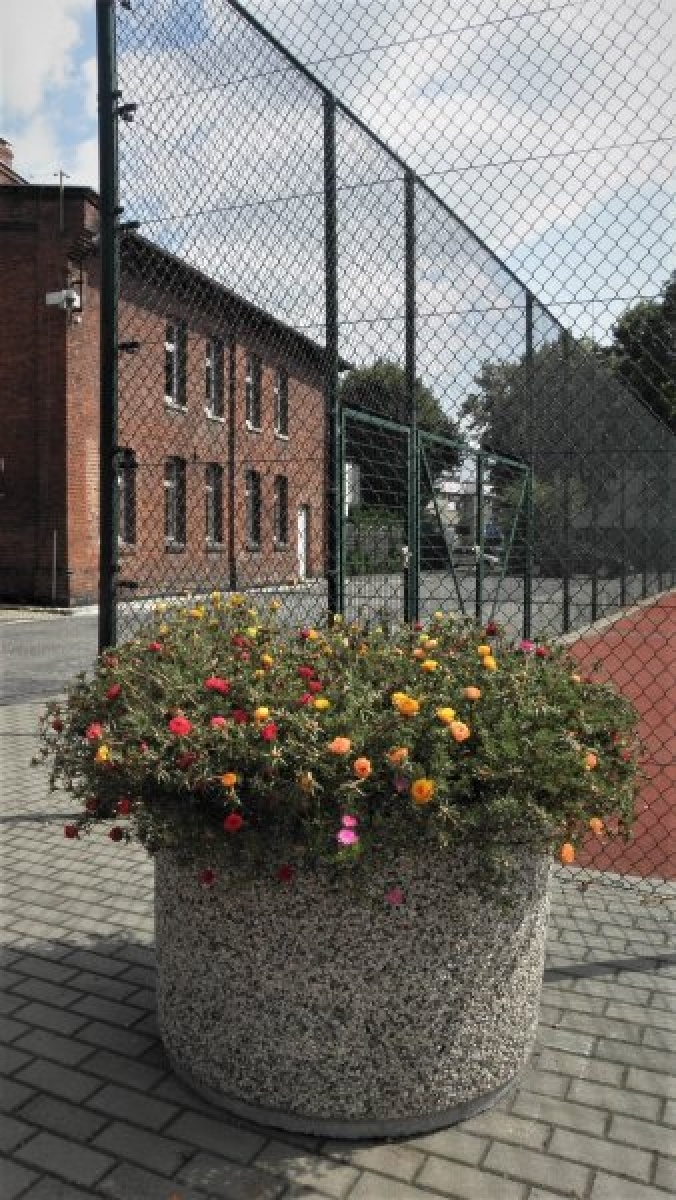 Zdjęcie w galerii na portalu naszraciborz.pl: Zaadoptuj donicę. Drugie życie raciborskiego betonu wiadomości z regionu