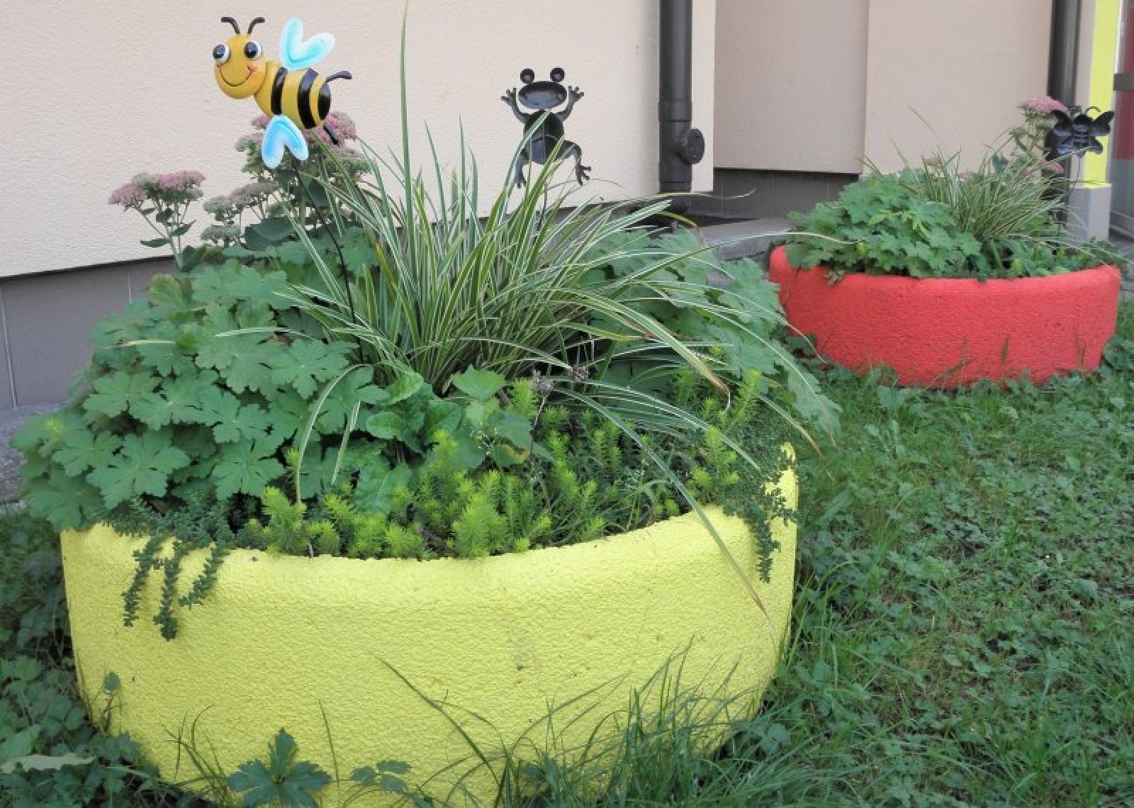 Zdjęcie w galerii na portalu naszraciborz.pl: Zaadoptuj donicę. Drugie życie raciborskiego betonu wiadomości z regionu