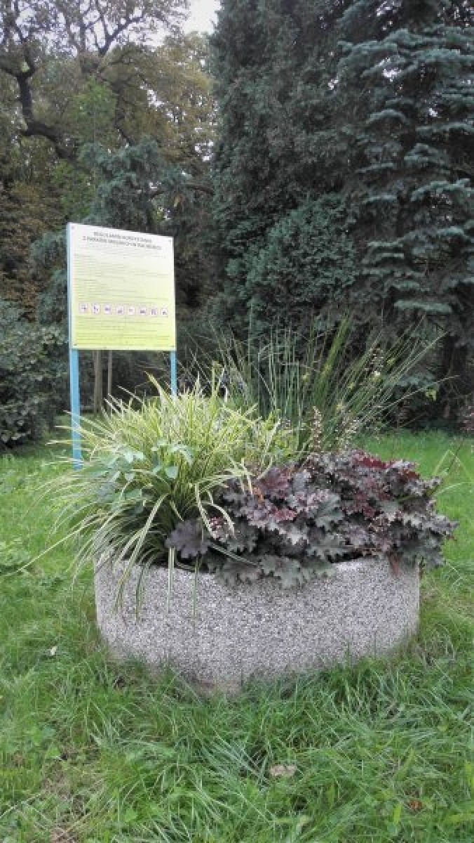 Zdjęcie w galerii na portalu naszraciborz.pl: Zaadoptuj donicę. Drugie życie raciborskiego betonu wiadomości z regionu