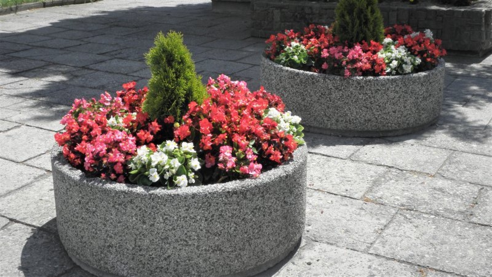 Zdjęcie w galerii na portalu naszraciborz.pl: Zaadoptuj donicę. Drugie życie raciborskiego betonu wiadomości z regionu