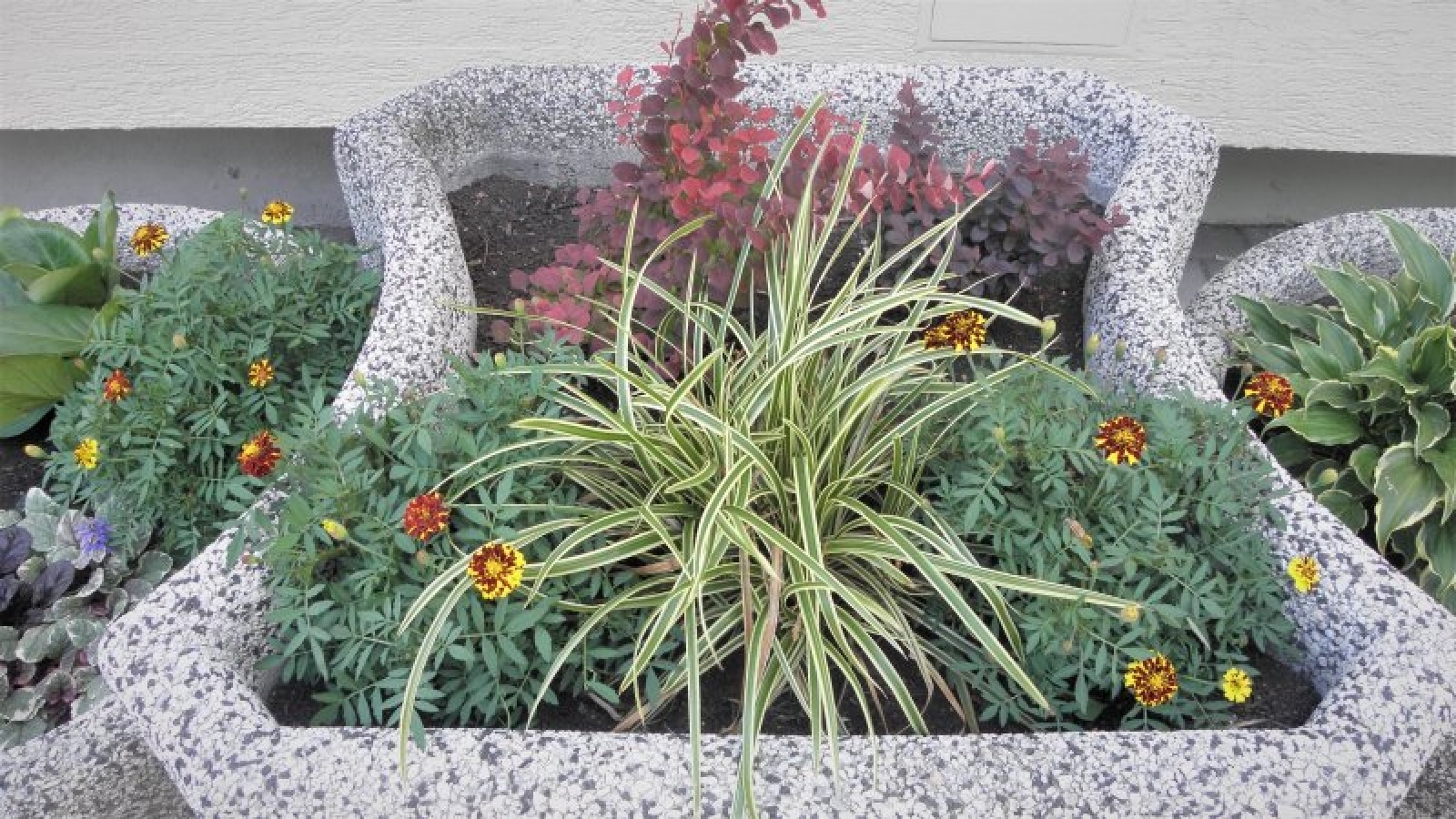 Zdjęcie w galerii na portalu naszraciborz.pl: Zaadoptuj donicę. Drugie życie raciborskiego betonu wiadomości z regionu