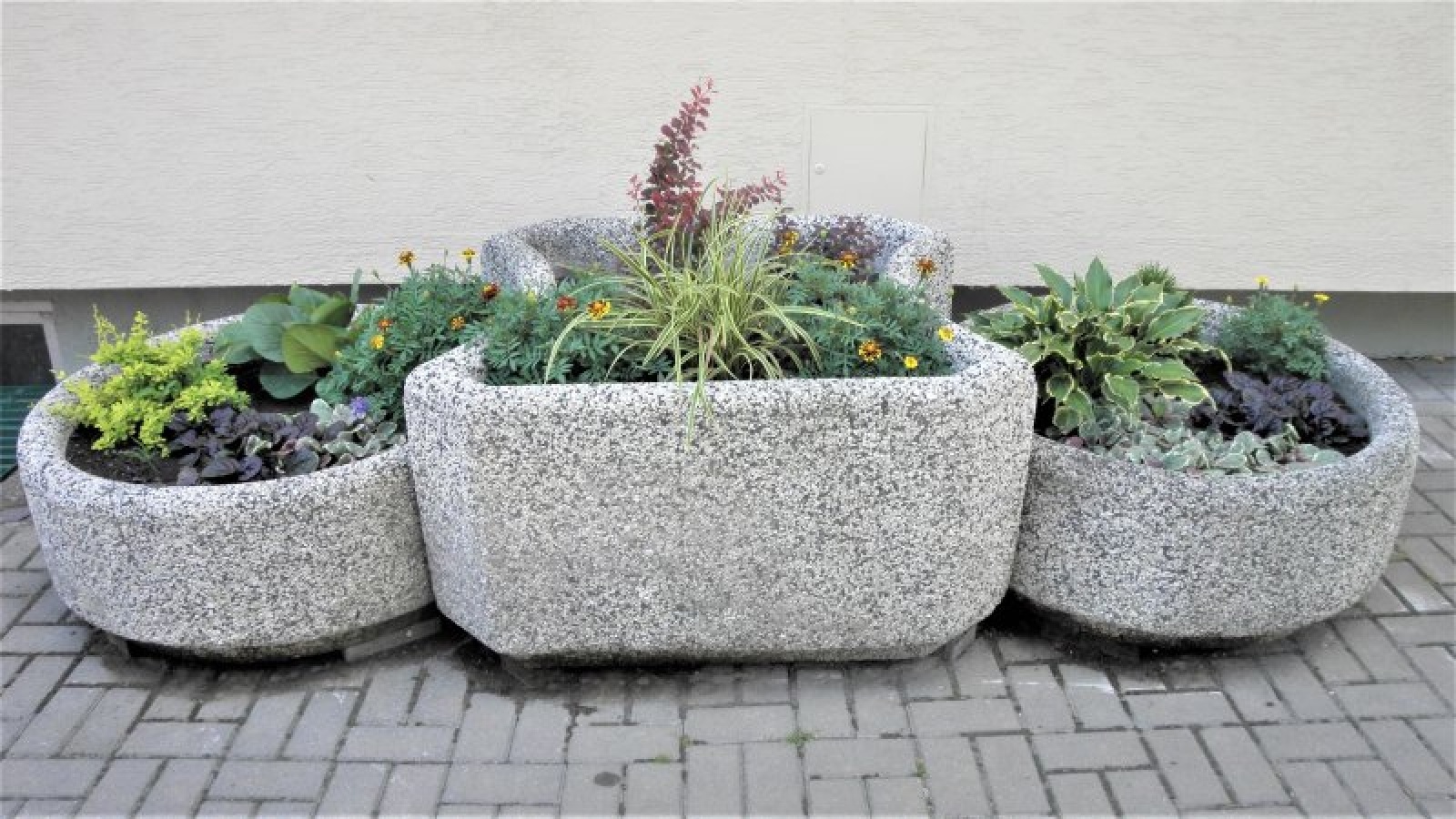 Zdjęcie w galerii na portalu naszraciborz.pl: Zaadoptuj donicę. Drugie życie raciborskiego betonu wiadomości z regionu